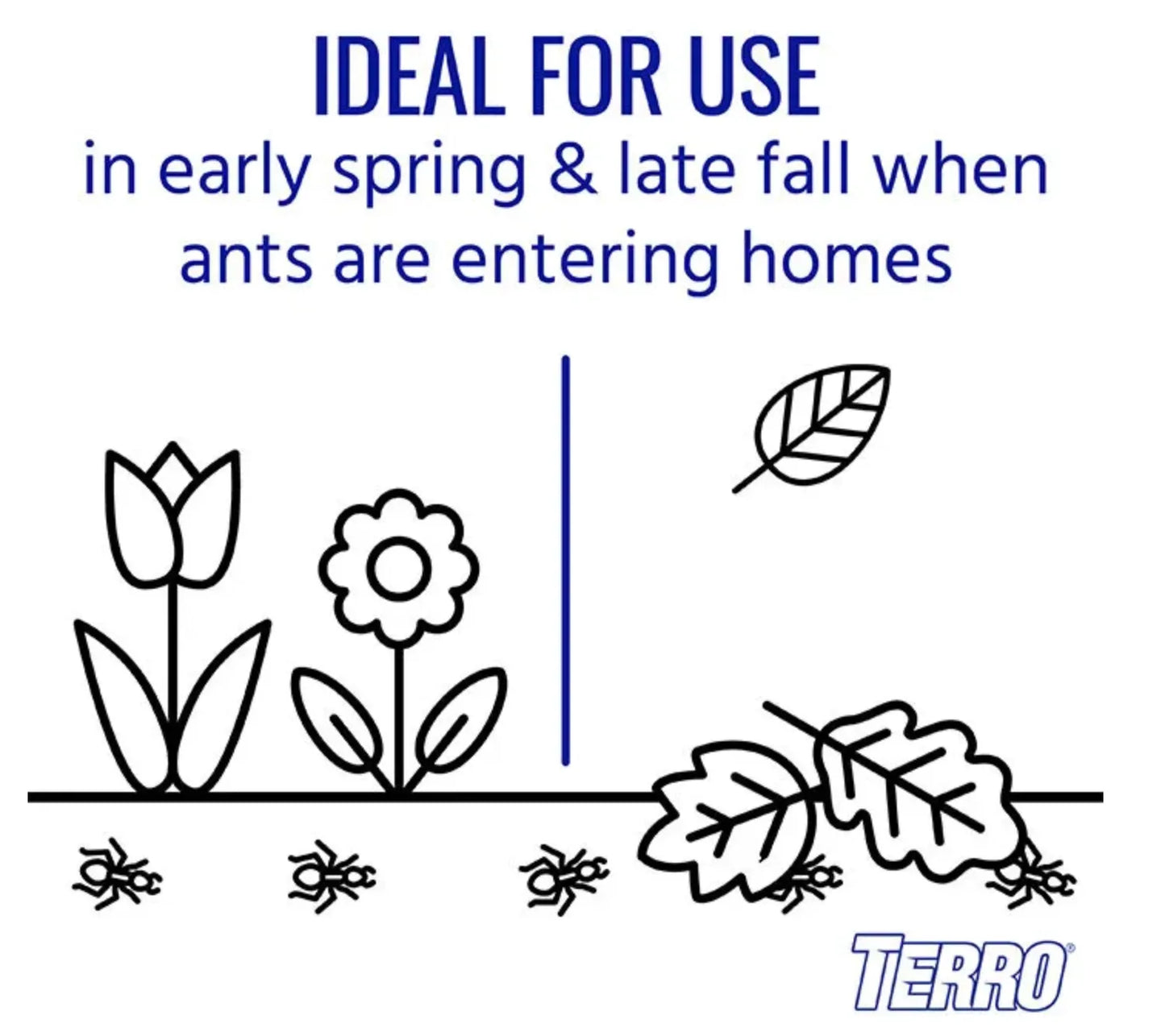 Terro Ant Spray perfect for spring and fall