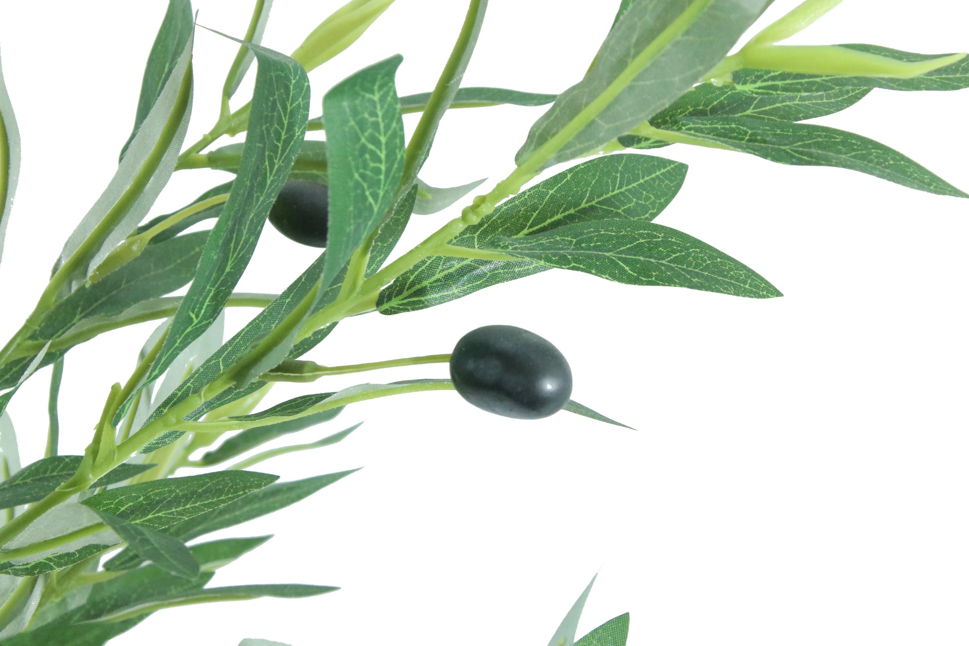 Artificial olive branch with green leaves and black olives on a white background