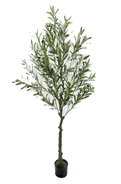 Artificial olive tree with green leaves on a white background