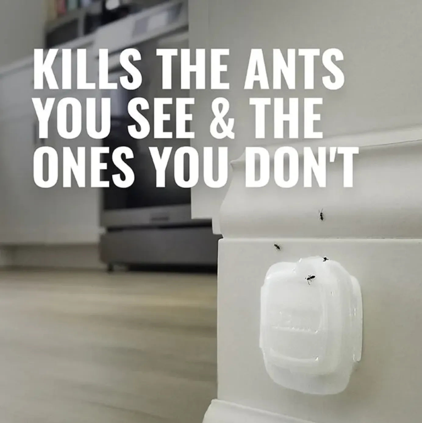 Terro ant trap on a baseboard with text 'KILLS THE ANTS YOU SEE & THE ONES YOU DON'T' in a kitchen setting.