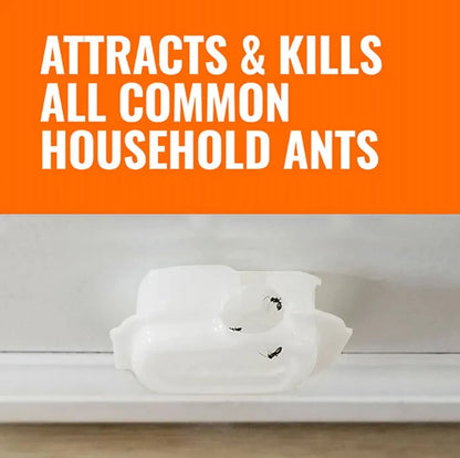 Terro ant trap on a baseboard with text 'ATTRACTS & KILLS ALL COMMON HOUSEHOLD ANTS' on an orange background.