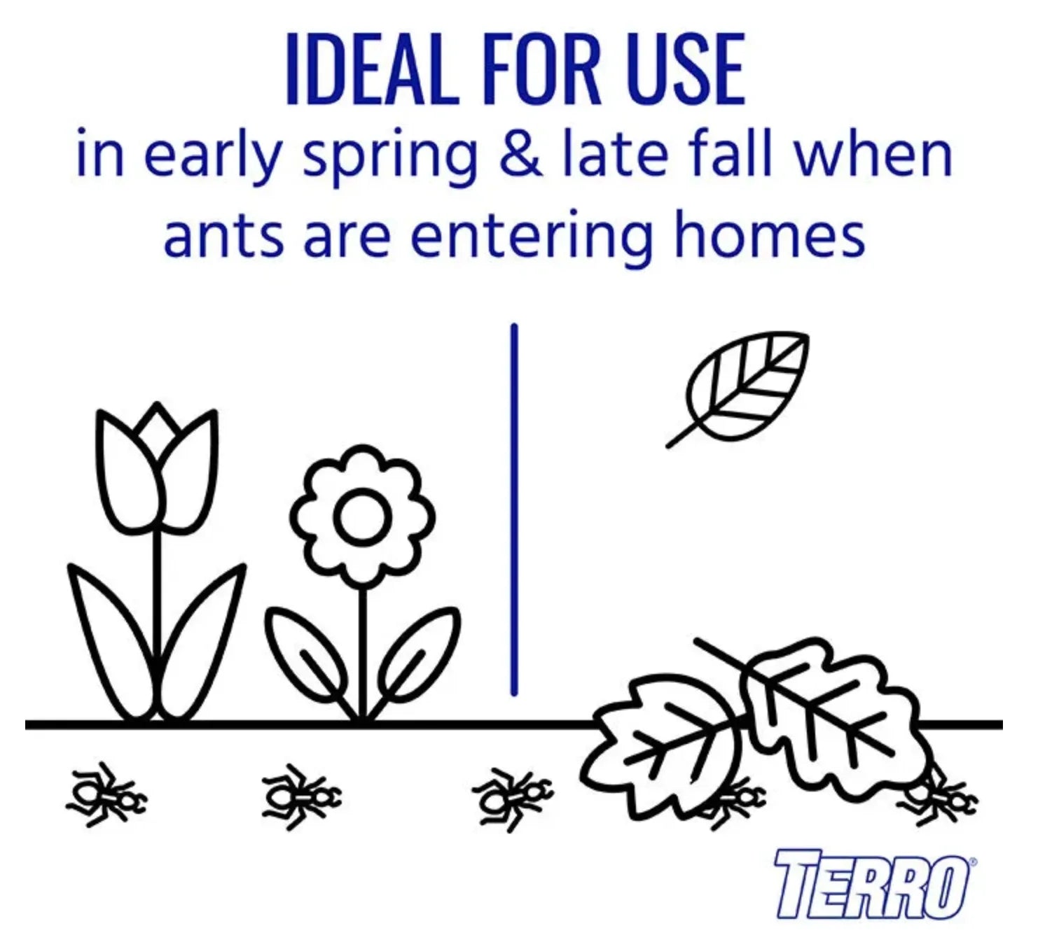 Terro Ant Spray perfect for spring and fall