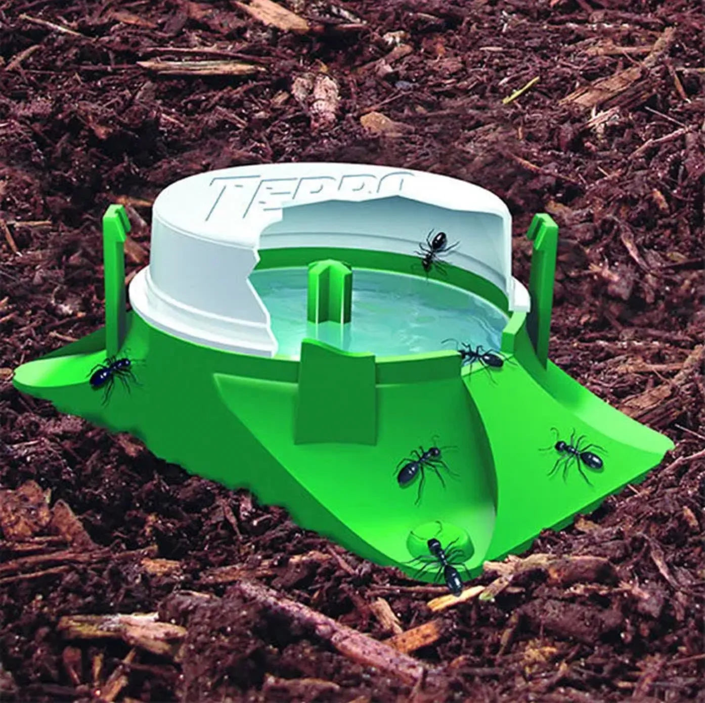 Terro Outdoor Liquid Ant Bait