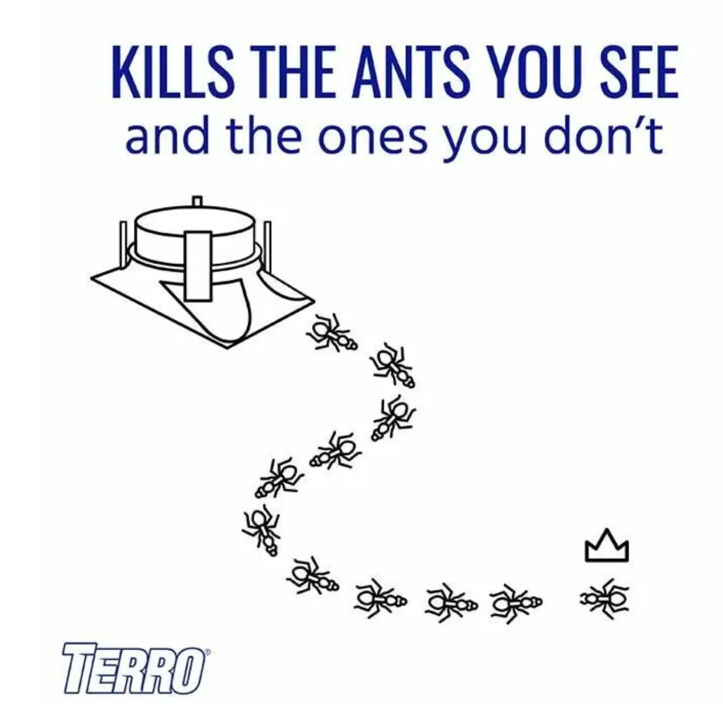 Ant killer product with text 'Kills the ants you see and the ones you don't' and Terro logo.