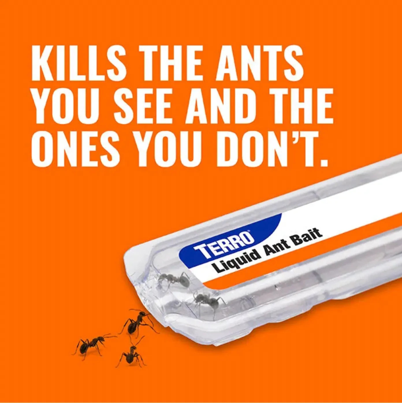 TERRO liquid ant bait container with text on an orange background