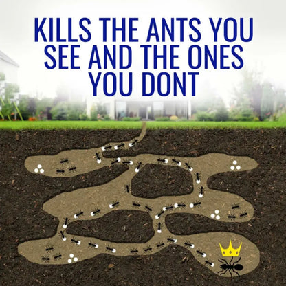 Ants crawling on soil with text 'Kills the ants you see and the ones you don't' and a Terro logo in the corner.